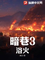  暗巷3：浴火