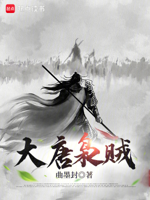  大唐枭贼