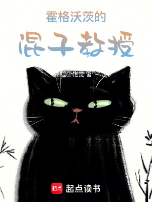  霍格沃茨的混子教授