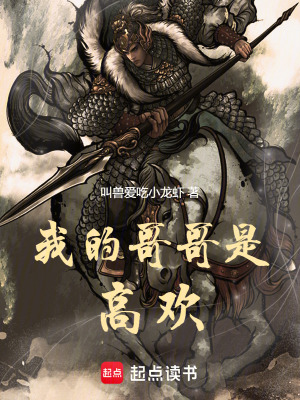  我的哥哥是高欢