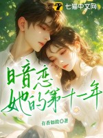  暗恋她的第十一年