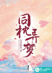  同枕异梦