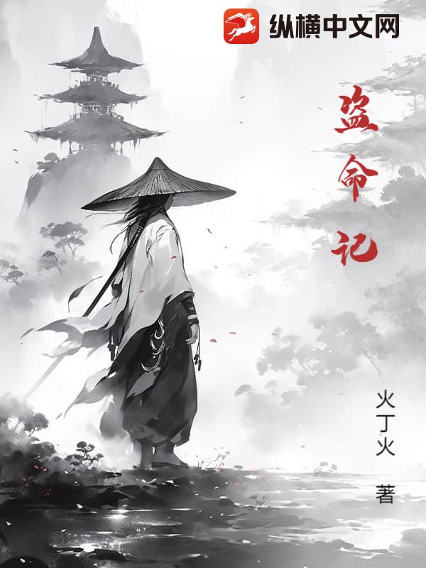  盗命记