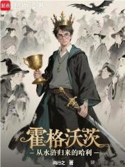  霍格沃茨：从水浒归来的哈利