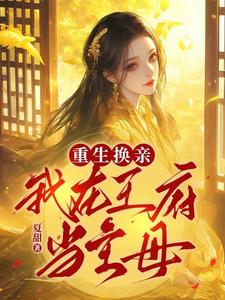  重生换亲：我在王府当主母