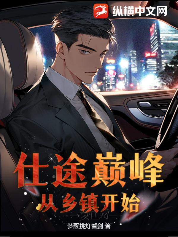  仕途巅峰：从乡镇开始