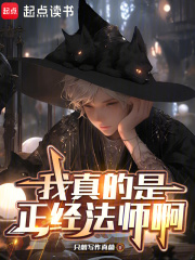  我真的是正经法师啊
