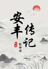 安丰传记