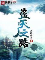 盗天之路