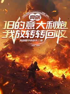  亮剑：旧的意大利炮我放转转回收