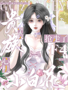  贵族学院：心机小白花抢走了F4