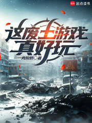  这废土游戏真好玩