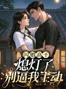  闪婚高干：熄灯了，别逼我主动