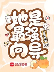  她是最强向导