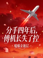  分手四年后，傅机长失了控