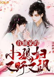  首辅家的小媳妇又野又飒