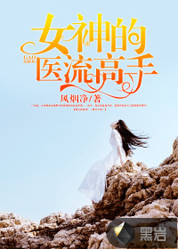  女神的医流高手