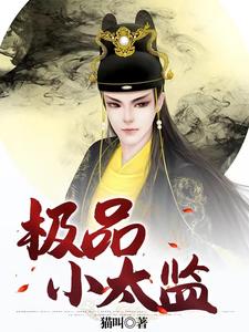  极品小太监