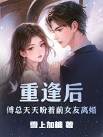  重逢后，傅总天天盼着前女友离婚
