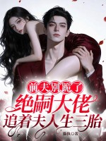  前夫别跪了，绝嗣大佬追着夫人生三胎