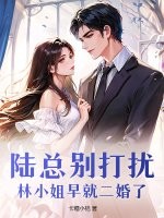  陆总别打扰，林小姐早就二婚了