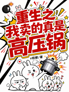  重生之我卖的真是高压锅