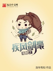 海贼之疾风剑豪