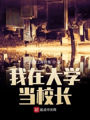 我在大学当校长