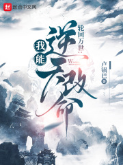  轮回模拟：我能逆天改命